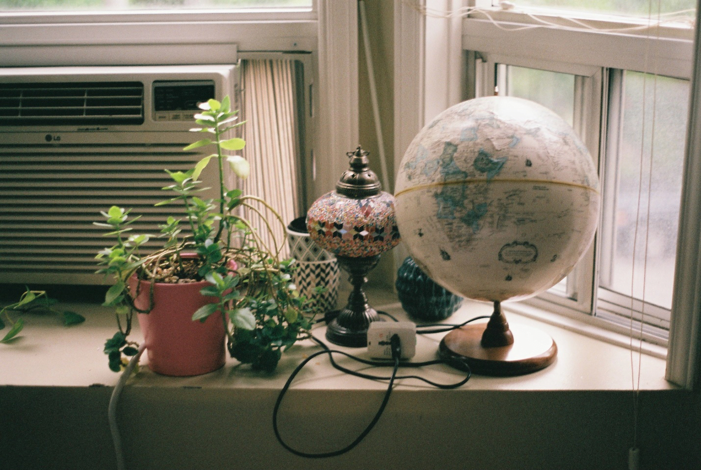 A globe and plants on a window sill

Description automatically generated with low confidence