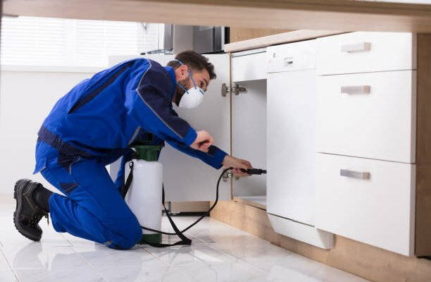 Man Spraying Pesticide Inside The Wooden Cabinet In The Kitchen