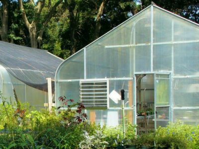 The Ultimate Guide to Greenhouse Replacement Covers