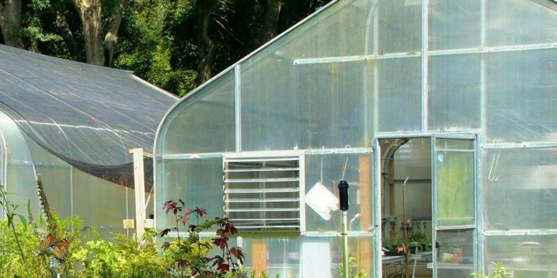 The Ultimate Guide to Greenhouse Replacement Covers