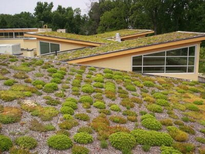 Going Green With Your Roof: Sustainable Practices And Benefits