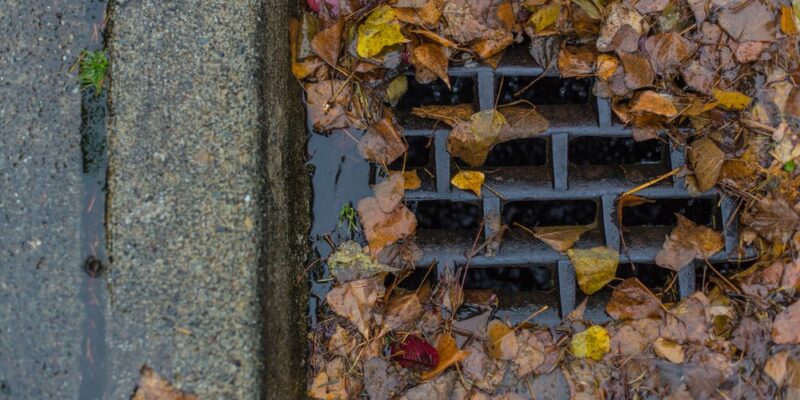 Tips for a Blocked Stormwater Drain - Collin's Plumbing