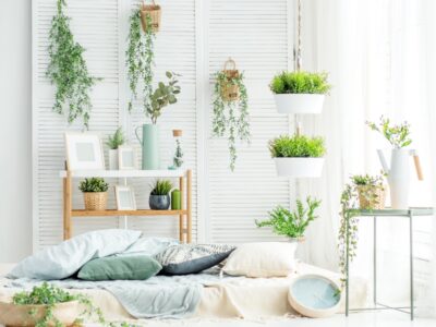 Improving Your Melbourne Decor with Faux Plants