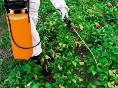 Maintaining Your Garden with Herbicide