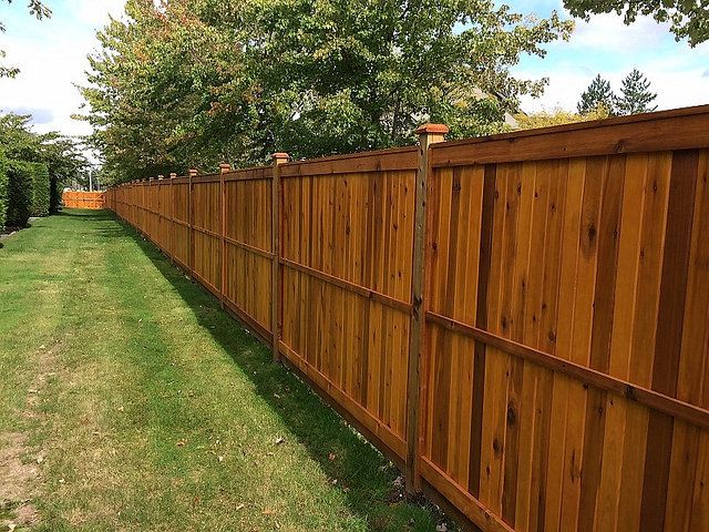 What Is Fence Staining? Everything You Need To Know - EmptyLightHome