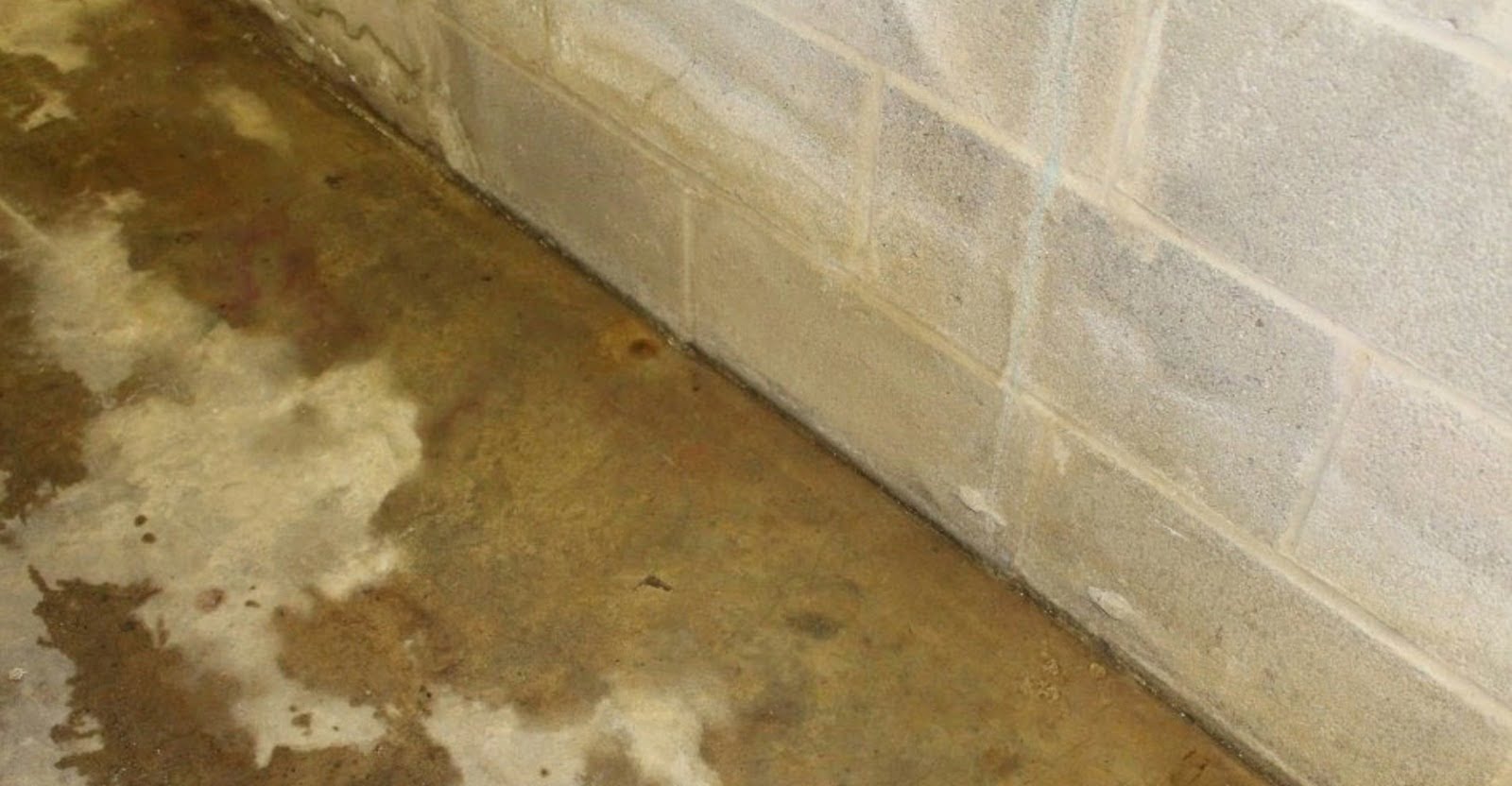 Understanding Basement Leaks Causes, Effects, and Solutions EmptyLightHome