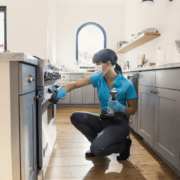 Professional Tips For Maintaining and Cleaning Your Appliances