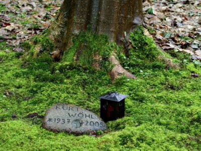 6 Unique Cremation Memorial Ideas to Celebrate Your Loved One's Life