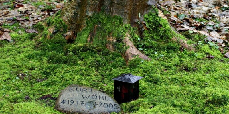 6 Unique Cremation Memorial Ideas to Celebrate Your Loved One's Life