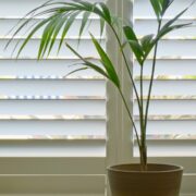 Plantation Shutters Installation Guide: When to Seek Professional Help