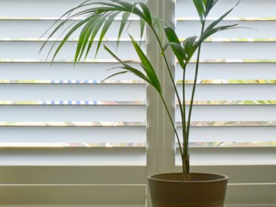 Plantation Shutters Installation Guide: When to Seek Professional Help