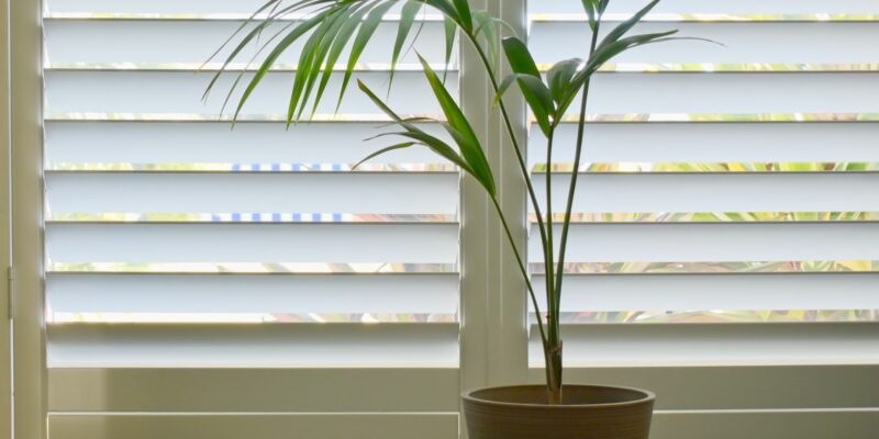 Plantation Shutters Installation Guide: When to Seek Professional Help