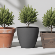 How to Grow Trees in Containers