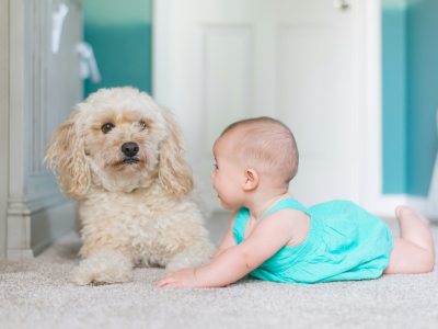 How Clean Carpets Make Your Skin Healthier