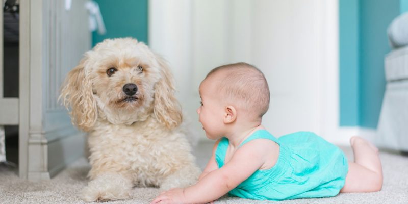 How Clean Carpets Make Your Skin Healthier